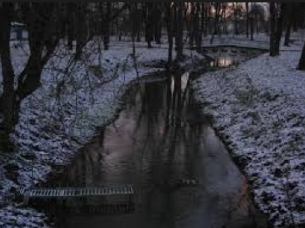 Річка Свиня