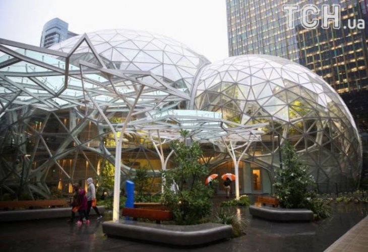   : Amazon     ()