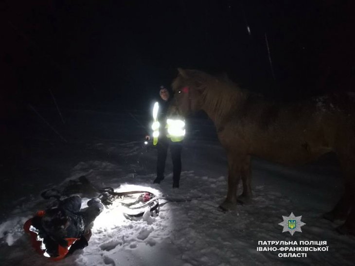 На Івано-Франківщині кобила врятувала п’яного господаря