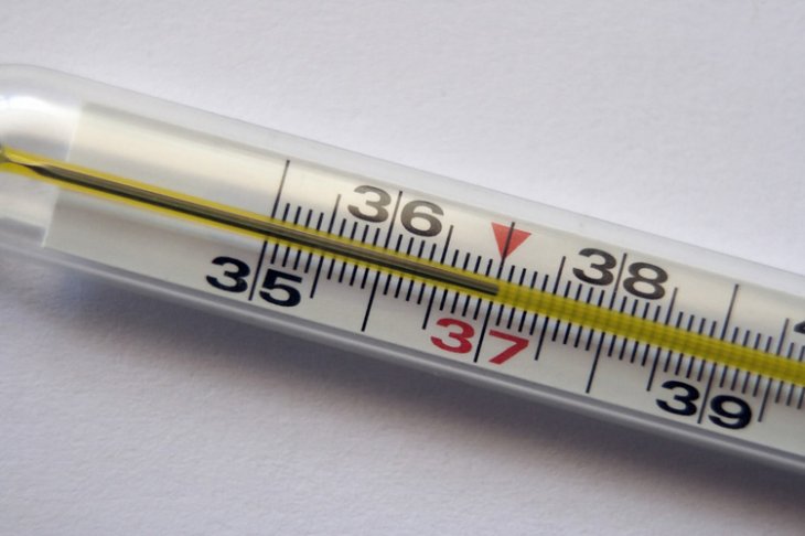 Грип лютує в Румунії: померло 58 людей