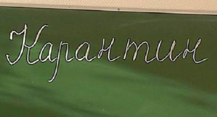 На Львівщині через грип на карантин закрились 103 школи