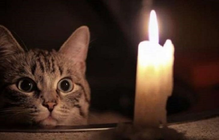 Де у Львові сьогодні не буде світла