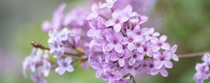 Які свята відзначають 20 травня