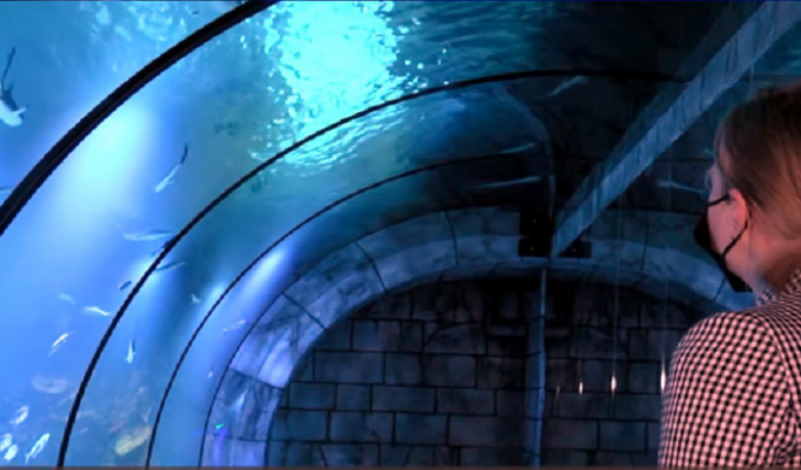 У Львові відкрили океанаріум