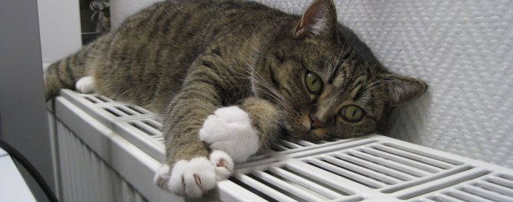 Опалювальний сезон в Україні розпочнеться через декілька днів, – Шмигаль