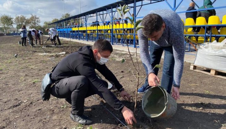 В Україні сьогодні висаджують мільйон дерев