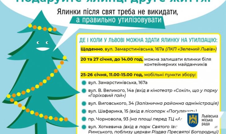 Львів'ян закликають правильно утилізовувати хвойні дерева після свят