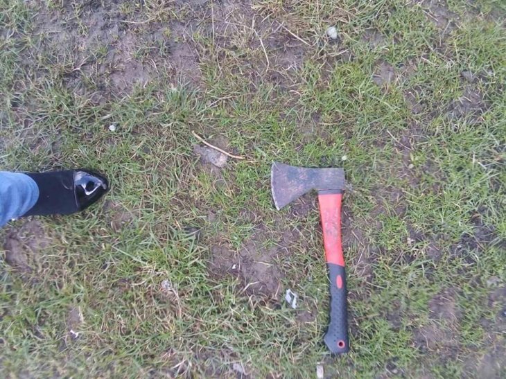 На Львівщині чоловік жорстоко побив собаку сокирою - фото