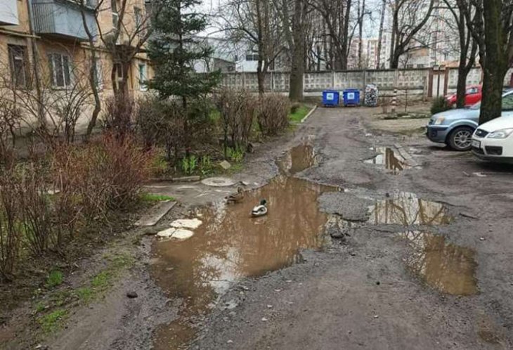           - 